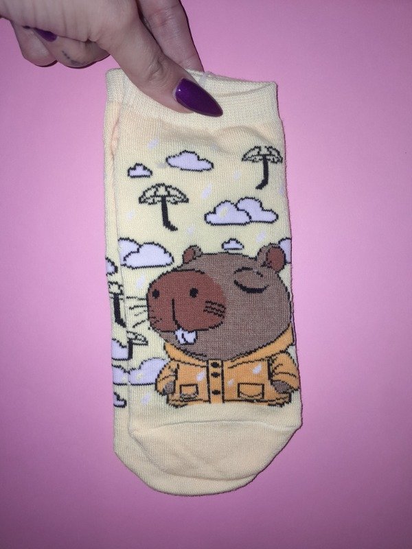 Producto - Capibara piloto lluvia