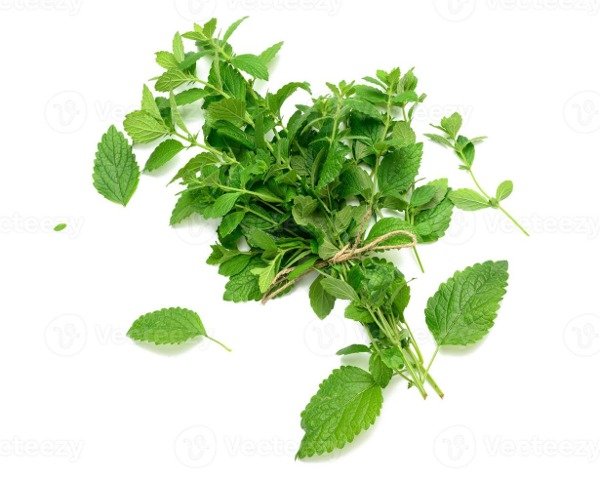 Producto - MENTA (unidad)