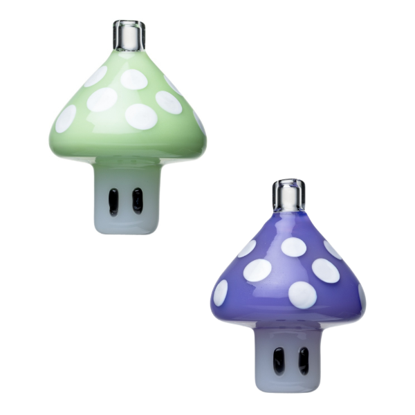 Producto - Mushroom Cap 2