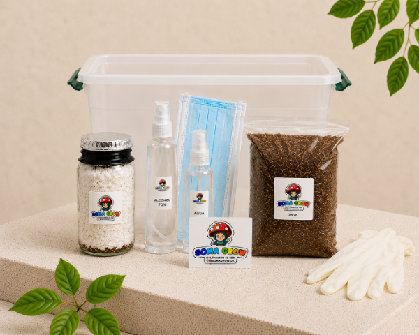 Producto - Kit Fungi Principiante inicial