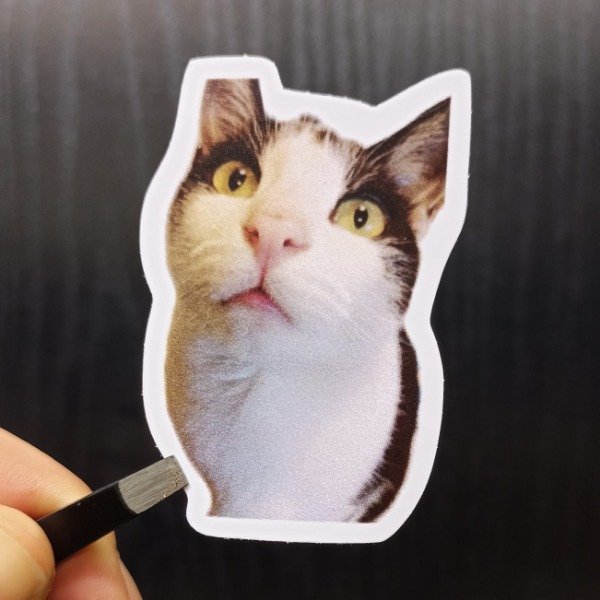 Producto - Pack Stickers Personalizados x12 (tus fotos en sticker)