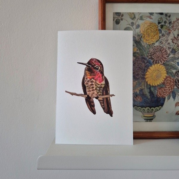 Producto - Postal 02 - COLIBRÍ