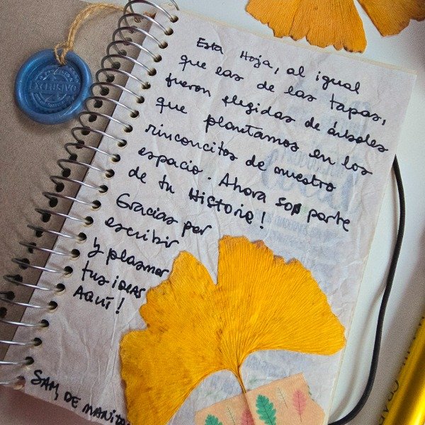 Miniatura de producto - 11