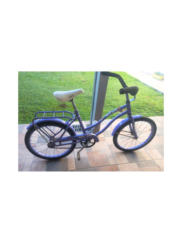 Producto - Bici rodado 20 con freno contrapedal