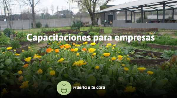 Producto - Capacitaciones para empresas de huerta y compost