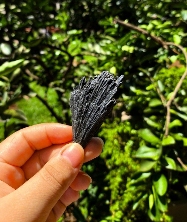 Producto - Cianita negra / Escoba de bruja
