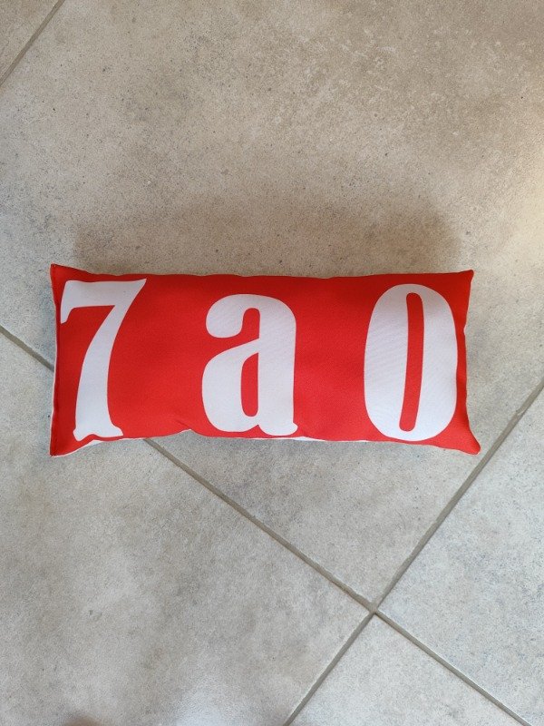 Producto - Almohadones - 7 a 0