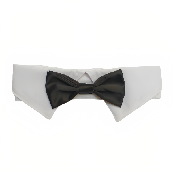 Producto - Cuello y Moño Burgues Negro