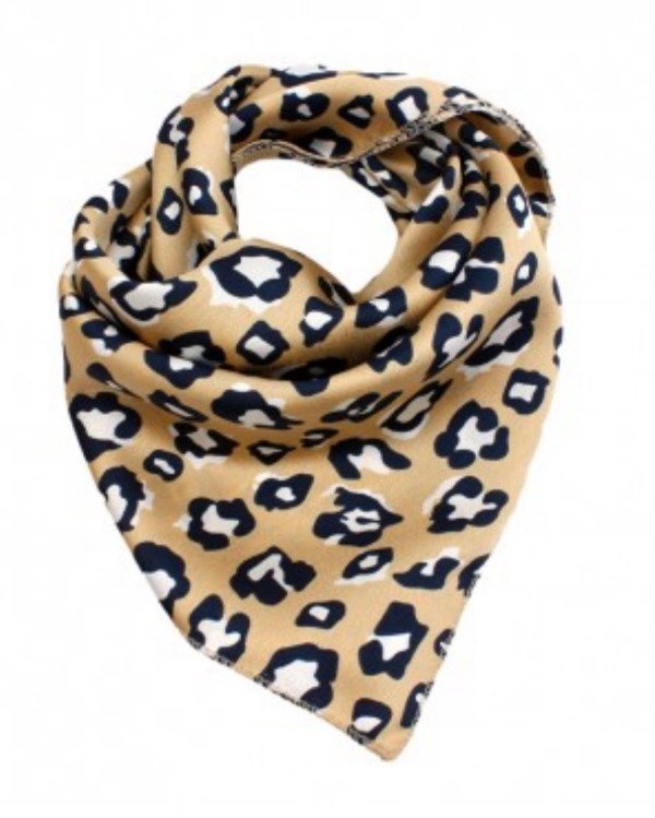 Producto - Pañuelo Gianina