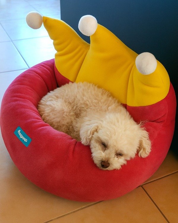 Producto - Camita para Perro de Fácil Lavado con Diseño de Corona