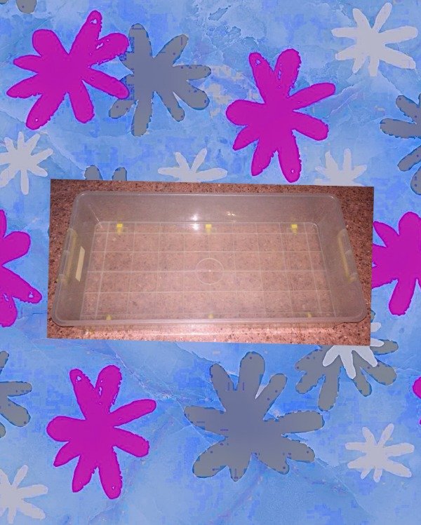 Producto - Caja plástica c/tapa y rueditas Transparente