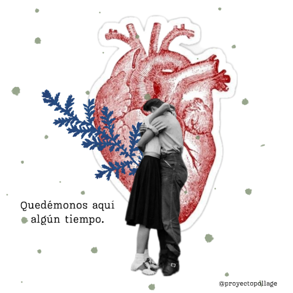 Producto - "Quedémonos aquí algún tiempo"