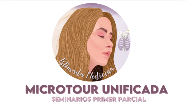 Producto - RESUMEN IMPRESO SEMINARIOS 1P MICRO UNIFICADA (BYN)