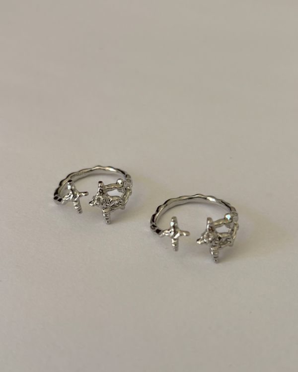 Producto - anillo #23