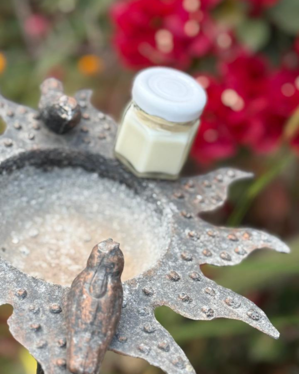 Producto - Velita de Emergencia