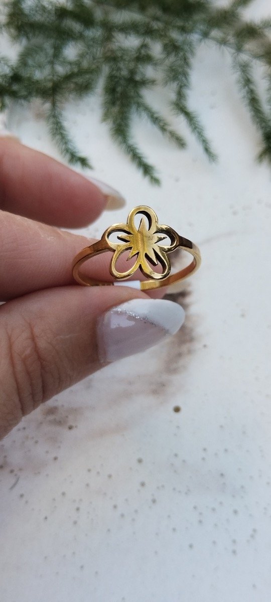 Producto - Anillos 7