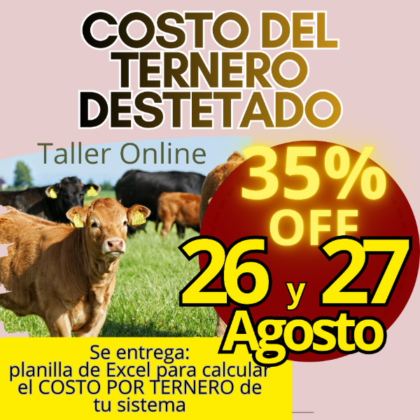 Producto - Taller Online: Costo del Ternero