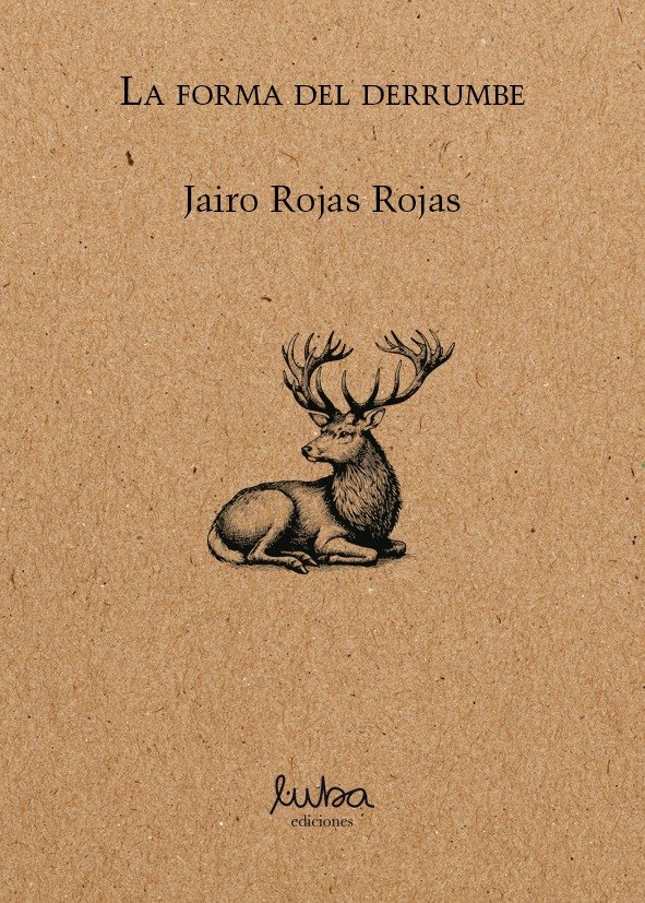 Producto - La forma del derrumbe. Jairo Rojas Rojas