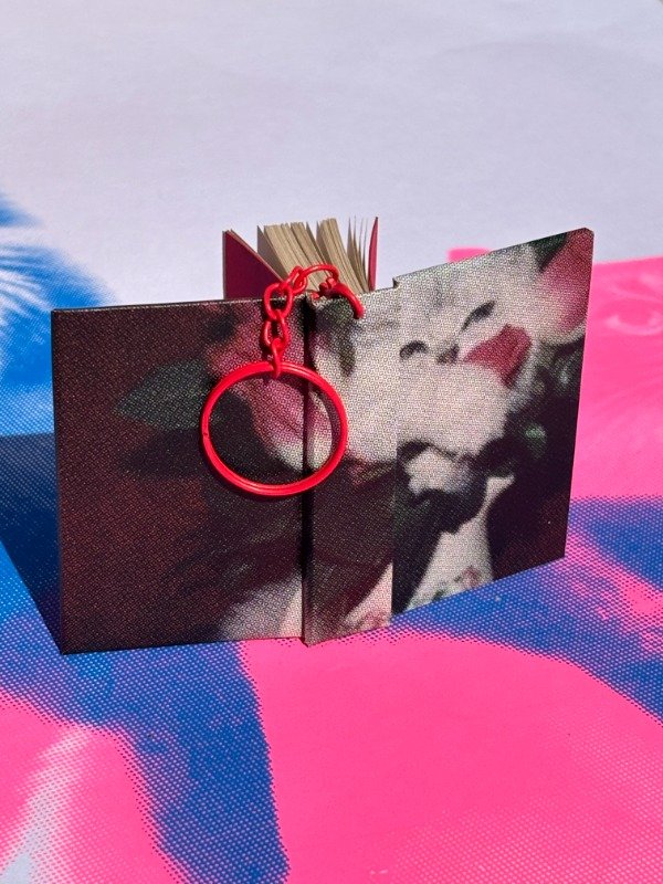 Producto - Gatito entre rosas rojas - 0