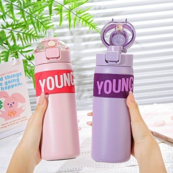 Producto - BOTELLA TERMICA YOUNG HERMETICA DEPORTIVA ACERO INOXIDABLE 650ML - 1