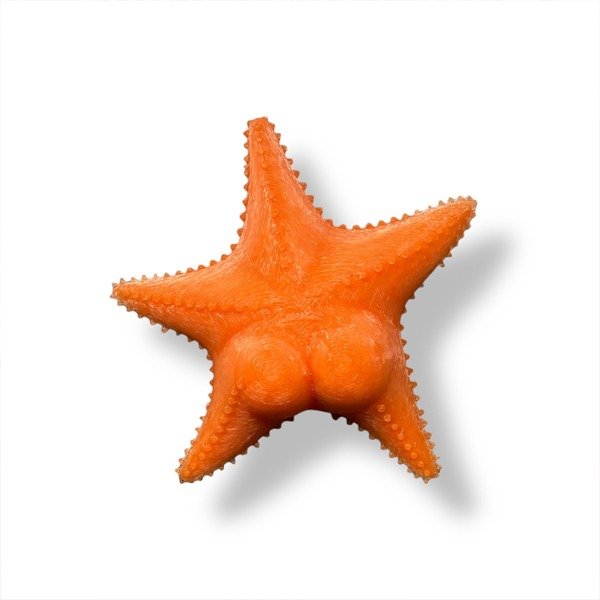 Producto - Iman Estrella Culona Mar Del Plata Conicet Patricio Estrella