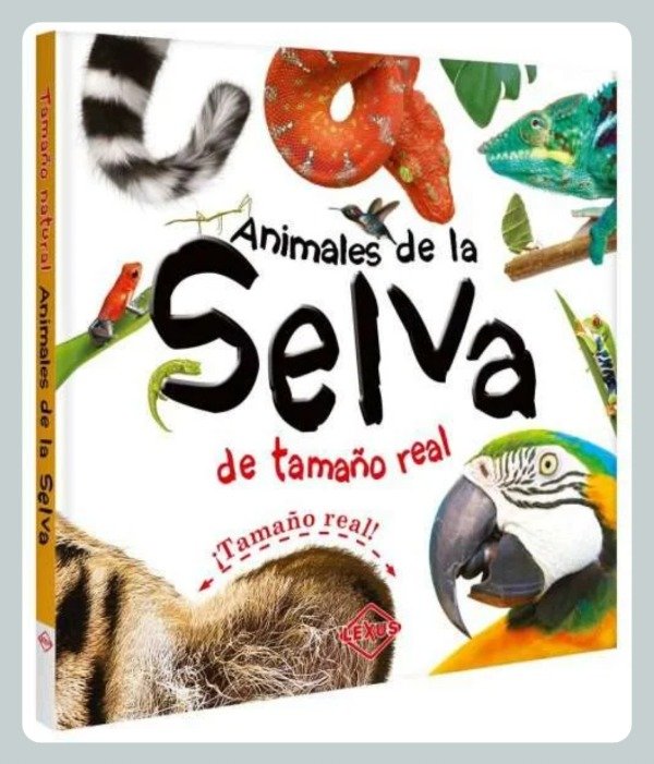 Producto - Animales de la Selva de Tamaño Real
