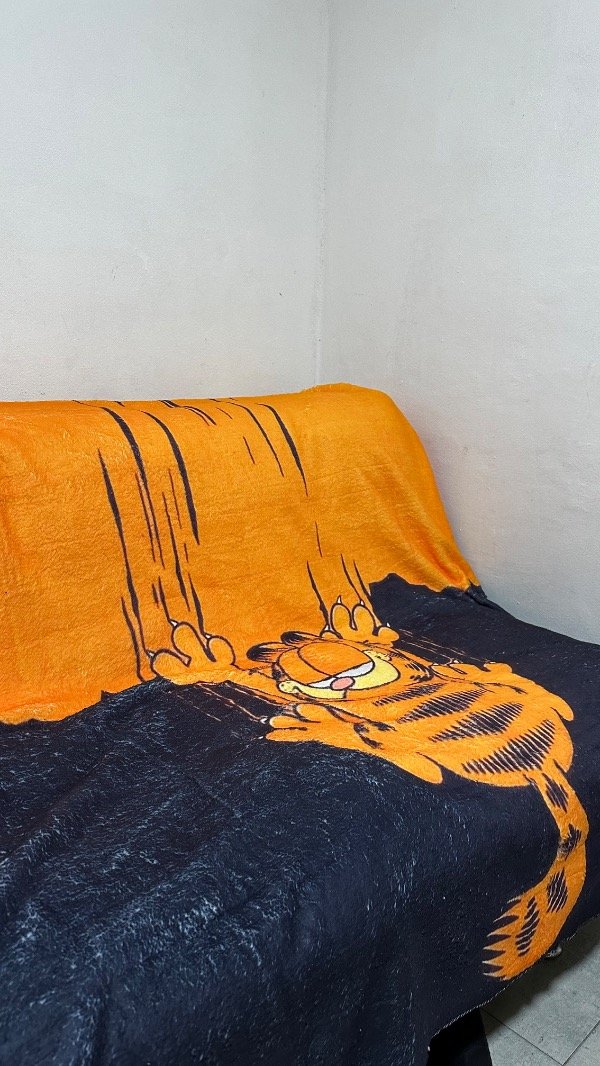 Producto - Manta garfield