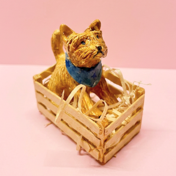 Producto - perrito en cajón x verdeagua