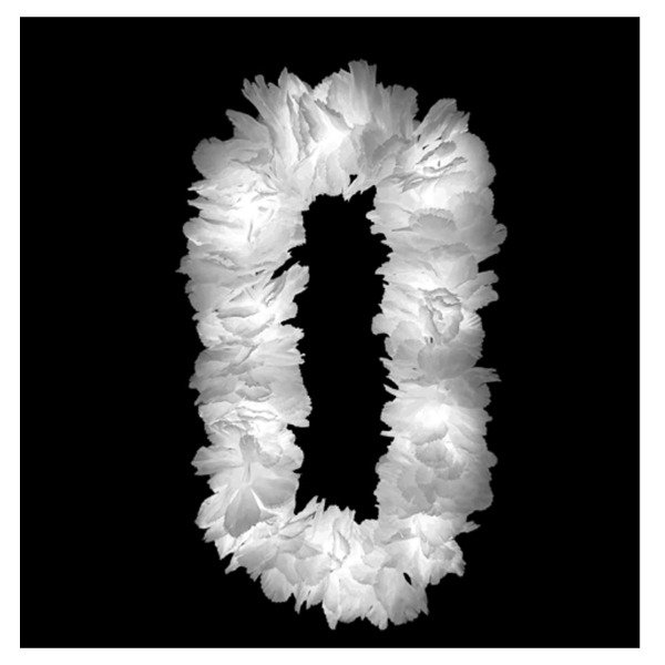 Producto - Collar de Flores Led