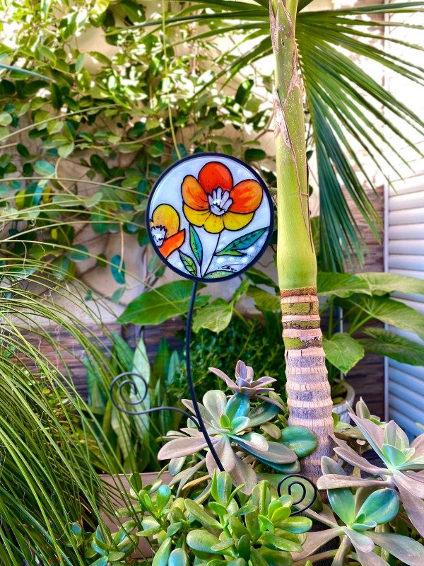Producto - RIZO