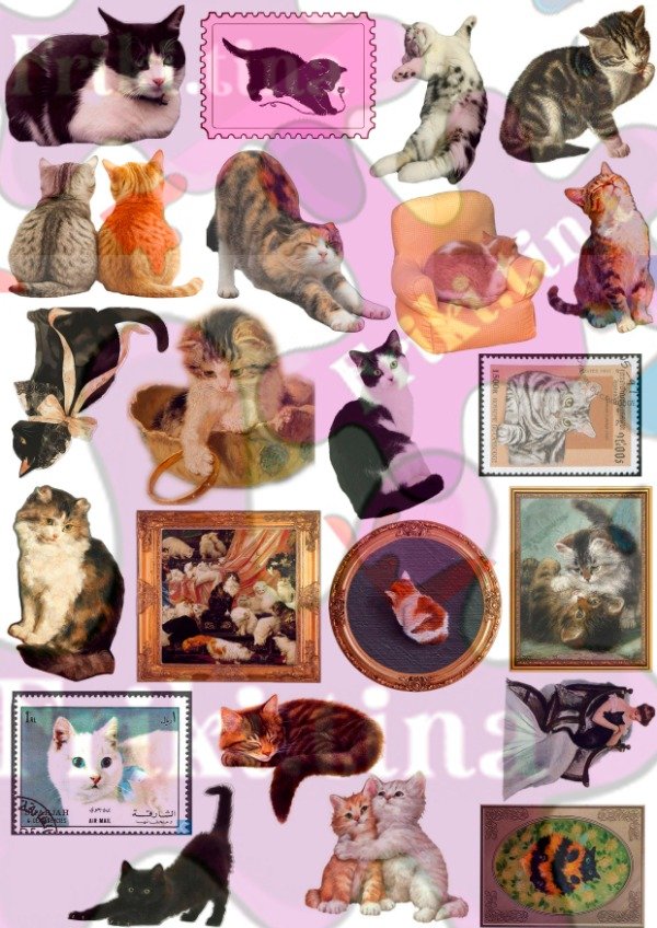 Producto - Pack Sticker Michis - 4