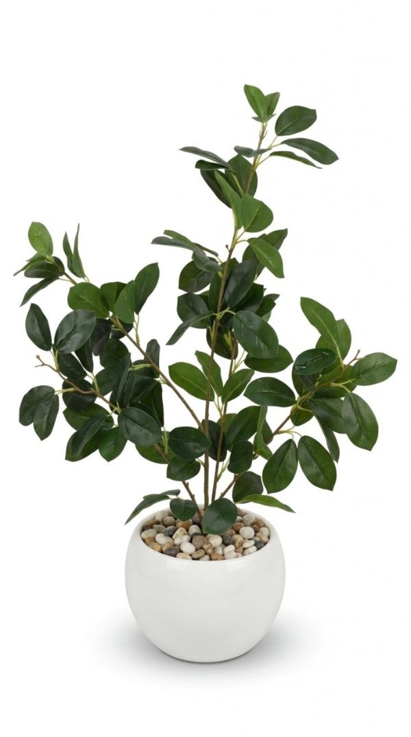Producto - PLANTA MACETA PLASTICO BLANCO 70 cm.
