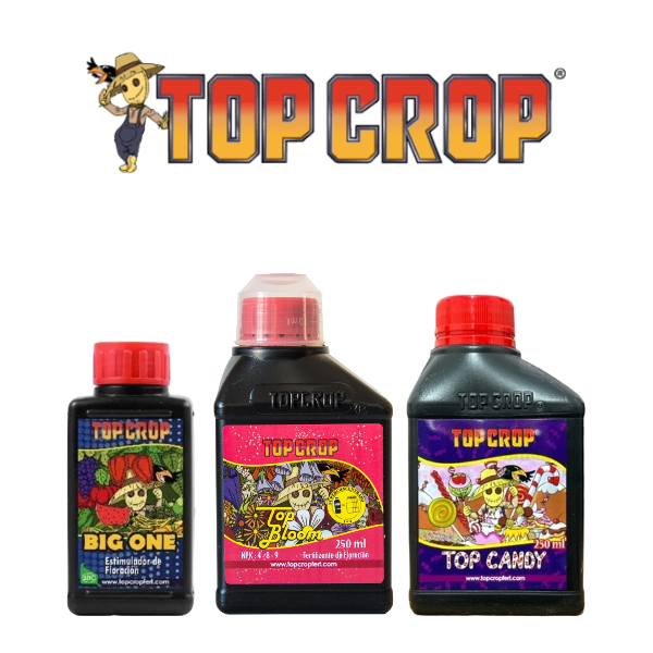 Producto - COMBO TOP CROP FLORACION