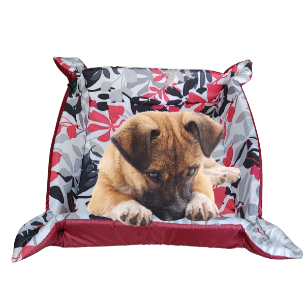 Producto - Moises Colchoneta Cama Para Mascotas Perros chico 4 botones - 3
