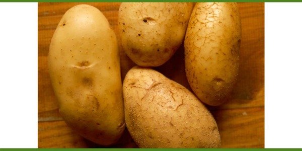 Producto - Papa agroecológica x kg de Rizoma