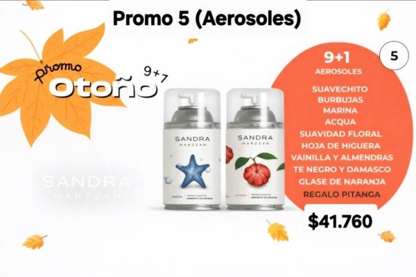 Producto - Promo Aerosoles