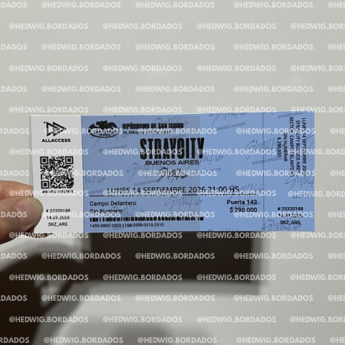 Producto - Entradas de recuerdo 14x6 SIMIL REALES - STRAY KIDS STRAYCITY Buenos Aires