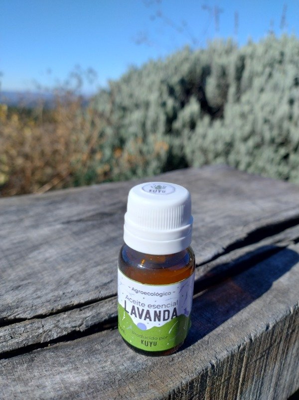 Producto - Aceite esencial puro Lavanda