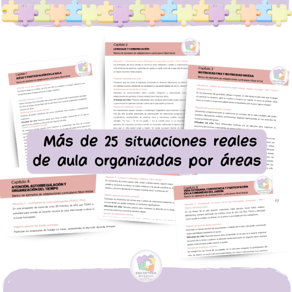 Producto - ADAPTACIONES CURRICULARES - NIVEL INICIAL + PACK IMPRIMIBLE - 1