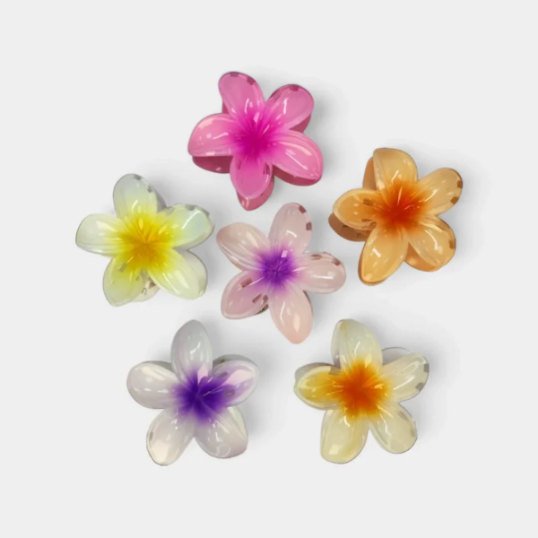 Producto - BROCHE FLOR HAWAIANA, VARIOS COLORES CITY GIRL 3964-5600