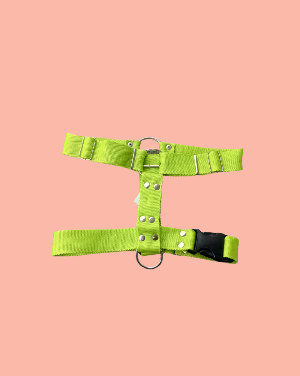 Producto - Pretal en H liso - Talle 6