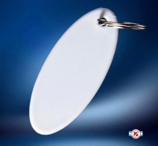 Producto - LLAVERO OVALADO X 20 U