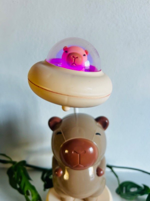 Producto - Velador capibara - 5