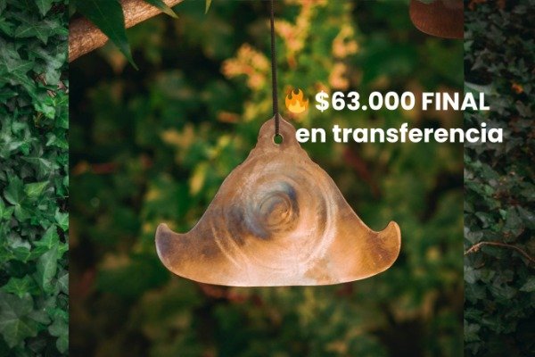 Producto - Campana Birmana Tornasol 19 cm Mediana