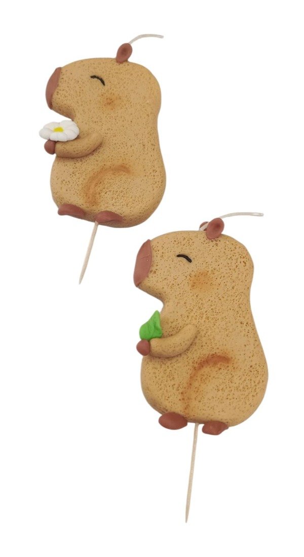 Producto - Capibara xud