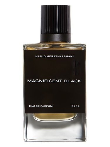 Producto - ZARA MAGNIFICENT BLACK