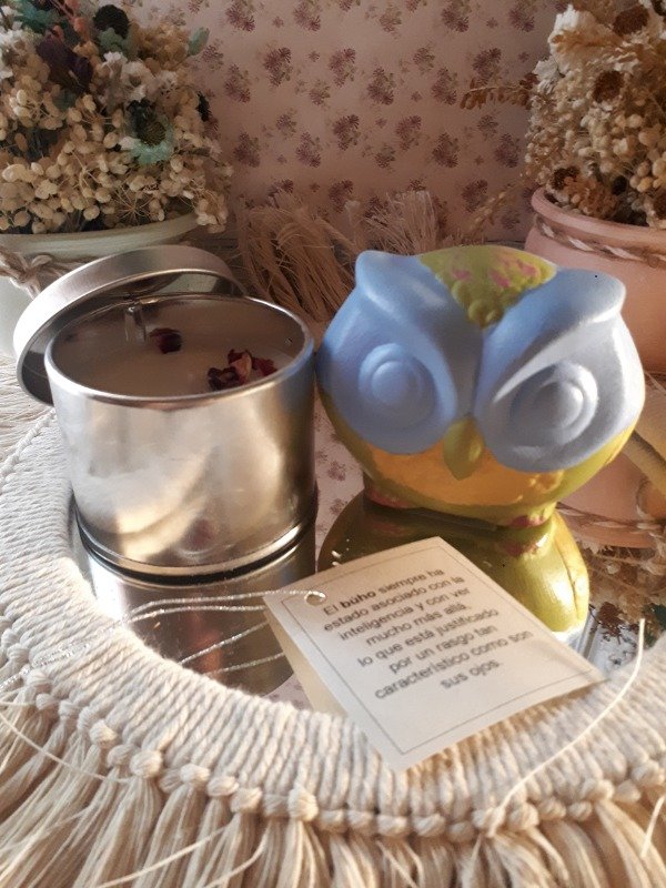 Producto - Búho Celeste mas velita de soja