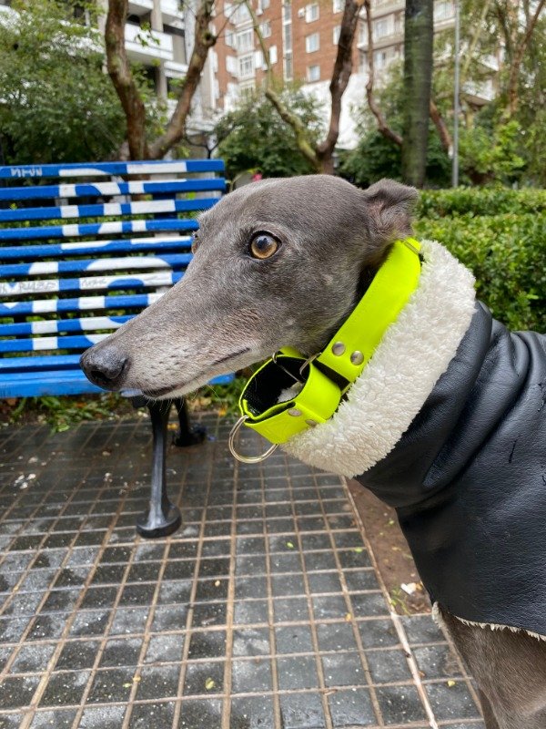 Producto - AMARILLO FLUO