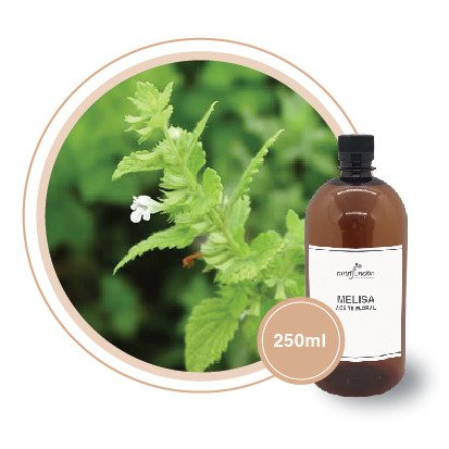 Producto - Aceite floral de melisa x 250 ml