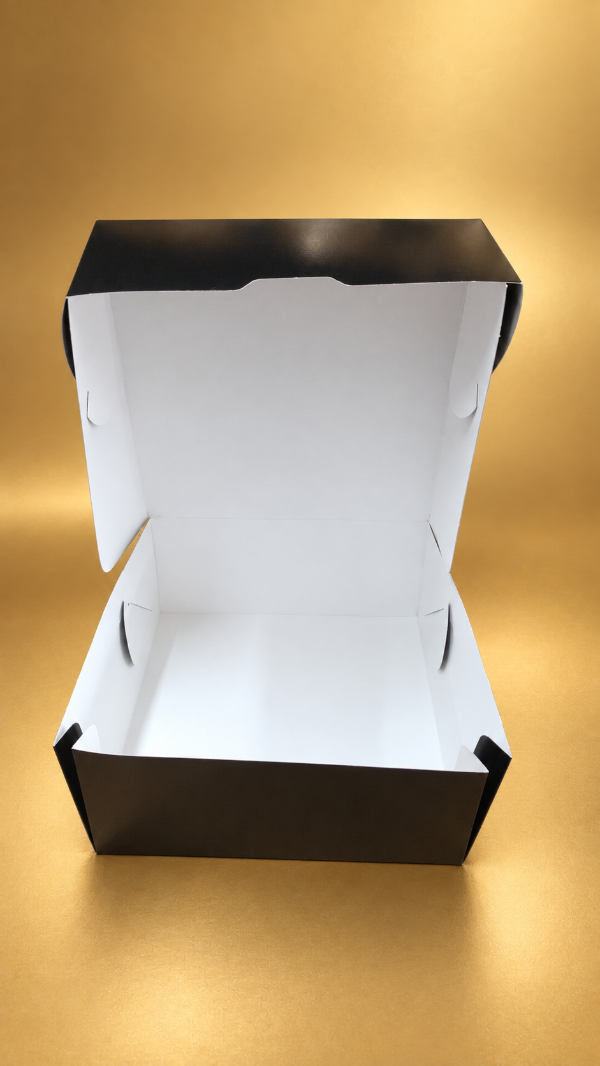 Producto - CAJA TAPA BISAGRA NEGRA COD.1538 25X11X25 - 5